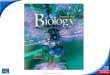 Biology - Hazleton Area High School...Title Biology Author ABC Created Date 4/24/2011 5:22:48 PM