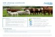 UK sheep outlook · 2020. 6. 29. · -1% Lamb crop: 16.8m head Key 2020 Stats UK sheep outlook July 2020 AHDB Market Intelligence — redmeat.mi@ahdb.org.uk-4% Lamb slaughter: 12.6m