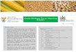 Grain Markets Early Warning Report...Production volume for soya beans is projected to increase significantly in 2015/16 season compared to 2014/15 (11.79 %). The 2015/16 production