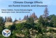 Climate Change Effects on Forest Insects and Diseases€¦ · on Forest Insects and Diseases Glenn Kohler, Forest Entomologist Washington Dept. Natural Resources. What is Drought?