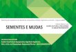 SEMENTES E MUDASinmetro.gov.br/.../25_-_Sementes_e_Mudas.pdf · Title: SEMENTES E MUDAS Author: Luiz Artur Costa do Valle Created Date: 12/14/2018 4:39:33 PM