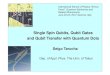 Single Spin Qubits, Qubit Gates and Qubit Transfer with ...static.sif.it/SIF/resources/public/files/va2012/tarucha_0622b.pdfB 0 B AC E Zeeman=hf AC Single Spin Qubit with QD |0>=|↑>