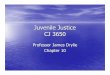 Juvenile Justice CJ 3650jdrylie/docs/Microsoft...Chapter 10. Juveniles in the Criminal Justice System ... – 40% (n=3000) property crimes – 16% (n=1200) drug offenses ... – Crimes