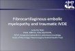 Fibrocartilaginous embolic myelopathy and traumatic IVDE€¦ · Acute non compressive NP extrusion IVD extrusion (compressive) haemorrhage (eg, secondary to coagulopathy) neoplasia