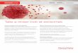 Take a closer look at exosomes - Thermo Fisher Scientific...The Invitrogen™ Total Exosome RNA & Protein Isolation Kit enables the isolation of: • Highly pure total RNA (including