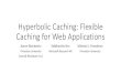 Hyperbolic Caching: Flexible Caching for Web Applications ... Application Caching on the Web 4 Web Tier