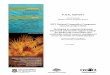 University of Queensland Final Report June08 - CBD · 2014. 7. 17. · The University of Queensland June 2008 . Decision-support for marine-coastal NRM using Marxan: Final Report,