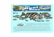 The Newsletter of the . . . Serving the Northeast Florida Fishing … · 2016. 4. 15. · The Newsletter of the . . . Serving the Northeast Florida Fishing Community Since 1959 Volume