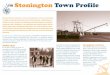 CT NEMO Program - Stonington Town Profile · 2019. 1. 15. · NEMO’s Role In the fall of 2002, the Town of Stonington asked NEMO to provide the Linking Land Use to Water Quality