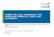 HYBRID FUEL CELL TECHNOLOGY FOR PRODUCING CHEMICALS, … · Issue: Large positive ... catalyst(s) into a proton-conducting solid oxide fuel cell to overcome the thermodynamic limitation