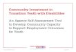 An Agency Self-Assessment Tool to Develop Community ... · Community Investment in Transition Youth with Disabilities An Agency Self- Assessment Tool to Develop Community Capacity