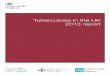 Tuberculosis in the UK: 2013 report...Tuberculosis in the UK: 2013 report Contents About Public Health England 2 Foreword 4 Acknowledgements 5 1. Tuberculosis case reports, UK, 2000-2012