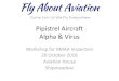 Pipistrel Aircraft Alpha & Virus · 2018. 12. 12. · Program •Introductions & Coffee 1000 - 1030 •Overview of Pipistrel Aircraft Series 1030 - 1040 •Company Capabilities 1040