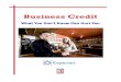 Check Your Free Credit Report & FICO® Score - What You Don’t … · 2011. 1. 11. · 3 Business Credit: What You Don’t Know Can Hurt You Experian 5 Simple Steps to Maintaining