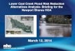 Lower Coal Creek Flood Risk Reduction Alternatives ... · water resource specialists Lower Coal Creek Flood Risk Reduction Alternatives Analysis- Briefing for the Newport Shores HOA