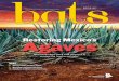 Restoring Mexico's Agaves · 2 bats / Issue 2 • 2020 Managing Editor Kristen Pope Chief Editor Javier Folgar Bat Conservation International (BCI) is a 501(c)(3) organization dedicated
