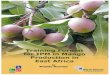 Training for IPM in Mango East Afr·ca - Biovision · 2019. 9. 26. · Training Format for IPM in Mango Production in East Africa Brigitte Nyambo Head, Technology Transfer Unit, lOPE