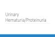 Urinary Hematuria/Proteinuria · Children don’t always manifest hematuria in low grade renal injuries Further imaging if hematuria, significant deceleration injury (fall or MVA),