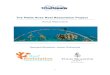 The Petite Anse Reef Restoration Project€¦ · The Project launched in March 2015, at this time the coral reefs of the Seychelles were still recovering from a severe bleaching event