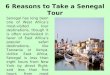 6 Reasons to Take a Senegal Tour