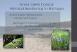 Great Lakes Coastal Wetland Monitoring in Michigan€¦ · GLRI Project: Great Lakes Coastal Wetland Monitoring Table 2. Counts, areas, and proportions of the 176 Great Lakes coastal