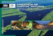 Creación de capital natural: ¿Cómo puede REDD+ apoyar ......ISBN: 978-92-807-3352-5 DTI / 1725 / PA Para más información, contacte con: Panel internacional de recursos Secretaría