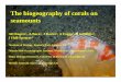 The biogeography of corals on seamounts · 2019. 1. 7. · The biogeography of corals on seamounts AD Rogers1, A Baco2, J Davies3, A Foggo3, H Griffiths4, J Hall-Spencer3 1Institute