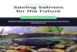 SALMON NEED OUR HELP Saving Salmon for the FutureUpper Columbia River Salmon Recovery Region: Salmon are responding to restoration projects. The runs are nearly double what they were