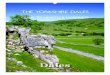 Hart's Tongue Ferm and Wild Thyme ©YDNPA - Yorkshire Dales · 2020. 2. 18. · Top Ten ways to feel happier and healthier in the Yorkshire Dales. ... hope you enjoy them, and will