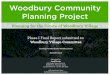 Woodbury Community Planning Project...2016/01/07  · 5.4 Streetscape Design Options 5.5 Permit Considerations 5.6 Funding Sources 6. FIRE STATION FEASIBILITY STUDY 28 6.1 Fire Station