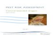 PEST RISK ASSESSMENT · Pest Risk Assessment: Central bearded dragon Pogona vitticeps 7/19 shelter under a rock or burrow, and will reduce its appetite or stop feeding altogether