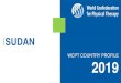 WCPT COUNTRY PROFILE 2019 - World Physiotherapy · Number of PTs in the region. 0. 200000. 400000. 600000. 800000. 1000000. 1200000. 1400000. 1600000