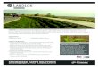 ENGINEERED EARTH SOLUTIONS 1.800.621.1273 PROPEXGLOBAL · 2020. 8. 24. · LANDLOK ®. Turf Reinforcement Mats (TRMs) with X3 Fiber Technology are three-dimensional, woven and/or
