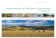 Grasslands in British Columbia - WordPress.com...disappeared from Bc. other species such as the Sharp-tailed Grouse and long-billed curlew have been lost from many parts of their former