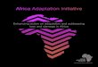 Enhancing action on adaptation and addressing loss and damage … · 6 AAI - African Adaptation Initiative Pillar 3: Enhancing on the ground action GOAL: Significantly increase the