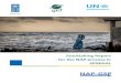 Stocktaking Report SENEGAL...Programme (NAP-GSP), led this report, with inputs from Clotilde Goeman (UNDP). Aliou G. Diouf from ENDA Energy in Senegal provided complementary information