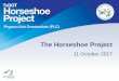 The Horseshoe Project...Achievements –Safety Record 2014 –2015 1,000,000 Consecutive Work Hours with No Recordable 2015 –2016 1,400,000 Consecutive Work Hours with No Recordable