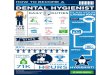 Dental Hygienist Job Infographic ... DENTAL HYGIENIST PLAN YOUR DUTIES JOB Dental hygienists work with