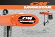 The Benefits of Superior Design - hoistzone.com · the Lodestar electric chain hoist for consistent operation throughout its long service life. Now with ... The Lift Wheel’s 5 pockets
