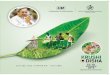 krushiodisha.inkrushiodisha.in/download/Brochure-2019.pdfprogrammes are aimed at enhancing the farmers' income by increasing productivity. providing market access and ensuring value