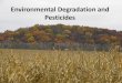 Environmental Degradation and Pesticides · What is environmental degradation? • Degradation occurs when a part of the environment in which we live is damaged or polluted in some