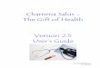 Charisma Salus - The Gift of Health Version 2.5 User’s Guide€¦ · develop their Charisma Salus program to meet their program’s needs. This program, written in Visual Basic,