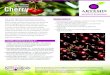 Tart, Sweet Cherry & Acerola - Artemis International · The Tart, Sweet, and Acerola types of cherries possess both common and distinctive nutrient and phytonutrient properties making
