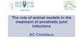 The role of animal models in the treatment of prosthetic ... · Experimental models of bone and prosthetic joint infection (AC Crémieux, C Carbon CID 1997) 1. Chronic osteomyelitis