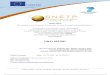 FINAL REPORT - cordis.europa.eu · SNETP-Office – Document D0.3 – FINAL REPORT 2 SNETP Office – Contract Number: 232652 Secretariat of the European Sustainable Nuclear Energy