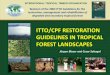 ITTO/CPF RESTORATION GUIDELINES IN TROPICAL FOREST …...The raising attention to landscape restoration globally 16 international organizations (incl. 11 CPF members) with major program
