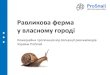 Равликова ферма увласному городіunion-prosnail.com.ua/KP_Prosnail.pdf · 2020. 2. 6. · Презентация PowerPoint Author: Даша Created Date: