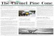 Volume 97 No. 43 On the Internet: …pineconearchive.com/111028PCA.pdfWhite. McCloud’s announcement comes six weeks after restaura-teur Richard Pepe said he would run for mayor