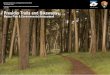 National Park Service, U.S. Department of the Interior The Presidio … · 2017. 10. 29. · Master Plan & Environmental Assessment National Park Service, U.S. Department of the Interior