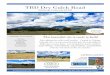 TBD Dry Gulch Road - landbrokermls.com€¦ · TBD Dry Gulch Road Nathrop, Colorado 81236 Partner of Rocky Mountain Commercial Brokers . ROCKY MOUNTAIN RMCB COMMERCIAL BROKERS FIRST